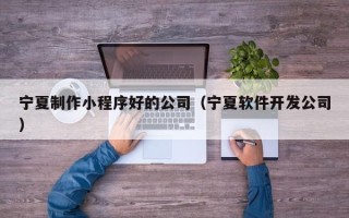 营口宁夏制作小程序好的公司（宁夏软件开发公司）